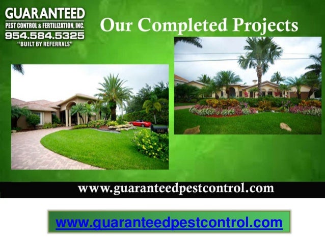 Lawn Care Company Davie