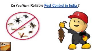 Do You Want Reliable Pest Control in India ?
 