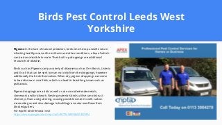 Birds Pest Control Leeds West
Yorkshire
Pigeons-In the lack of natural predators, birds which drop unwell endure
infecting healthy ones with ornithosis and other conditions, a few of which
can be transmissible to male. Their built-up droppings are additional
resources of disease.
Birds such as Pigeons carry a variety of diseases such as Ornithosis, Listeria
and E-coli that can be sent to man not only from the droppings; however
additionally the birds themselves. When dry, pigeon droppings can come
to be airborne in small bits, which can lead to breathing issues such as
psittacosis.
Pigeon droppings are acidic as well as can corrode/erode metals,
stonework and brickwork. Nesting materials birds utilise can obstruct
chimneys, flues and guttering, causing possible concerns with carbon
monoxide gas and also damage to buildings as water overflows from
blocked gutters.
For expert bird removal visit
https://www.google.com/maps?cid=8879258998650402824
 