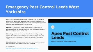 Emergency Pest Control Leeds West
Yorkshire
Bird control professionals like Apex Pest Control in Leeds are trained to
discover and also get rid of parasite birds and also offer you options to
stop their return. Ehrlich uses the most up to date, most gentle approaches
to prevent birds from returning. These consist of:
Bird spikes - remove those spaces that birds like to make use of to
develop webs on eaves, walks and roof coverings. The majority of species
of bird will find somewhere else to nest.
Bird netting - positioned over areas where birds can end up being a
problem. Birds will certainly not have accessibility to the ground or the
areas to construct nests or cause troubles for individuals utilising the
building.
Bird cord systems - these are close loved ones to bird netting, however
rather than textile webs, these are metal cord systems.
For more details:
https://www.google.com/maps?cid=8879258998650402824
 