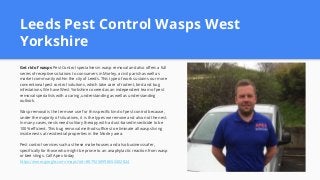 Leeds Pest Control Wasps West
Yorkshire
Get rid of wasps Pest Control specialises in wasp removal and also offers a full
series of receptive solutions to consumers in Morley, a civil parish as well as
market community within the city of Leeds. This type of work sustains our more
conventional pest control solutions, which take care of rodent, bird and bug
infestations. We have West Yorkshire covered as an independent team of pest
removal specialists with a caring, understanding as well as understanding
outlook.
Wasp removal is the term we use for this specific kind of pest control because,
under the majority of situations, it is the types we remove and also not the nest.
In many cases, nests need solitary therapy with a dust-based insecticide to be
100% efficient. This bug removal method suffices to eliminate all wasps living
inside nests at residential properties in the Morley area.
Pest control services such as these make houses and also business safer,
specifically for those who might be prone to an anaphylactic reaction from wasp
or bee stings. Call Apex today
https://www.google.com/maps?cid=8879258998650402824
 