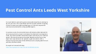 Pest Control Ants Leeds West Yorkshire
It is much better to work with a pest control professional than to attempt to
do it on your own. This is specifically real if the ant pest problem is ongoing,
if the ant invasion has ended up being huge, or if the items required for
control are only licensed for use by qualified experts.
In numerous cases, the service technician will certainly utilize chemicals for
ant removal, yet he must want to talk about the chemicals he anticipates to
utilize, any kind of possible unfavorable impacts and also any non-chemical
options. All chemical containers should be labeled as well as have a tidy,
expert look. Upon demand, the specialist ought to be able to offer a
Product Security Information Sheet (MSDS) and also sampling label for each
and every chemical utilized.
For expert ant removal call today
https://www.google.com/maps?cid=8879258998650402824
 