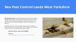 Bee Pest Control Leeds West Yorkshire
Bee and Wasp Control: These easily agitated insects can pose a danger if
they decide to sting you all at once. Wasps are some of the most common
intruders and the ones most people fail to deal with on their own. Your
pest control team in Leeds will manage to rid you of the infestation in a
safe way.
Bees follow the queen and surround her and protect her, at times the
queen bee settles in an odd place like your attic or garden. We will relocate
the bee colony so it does not disturb your day to day life.
Apex Pest Control - Leeds on 0113 3904270
Visit us at
https://www.google.com/maps?cid=8879258998650402824
 
