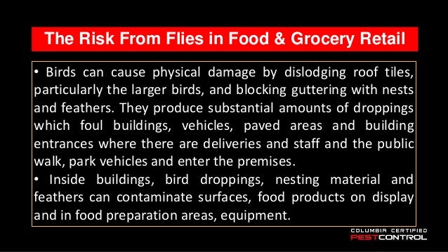Pest Control Lexington Sc Tips For Supermarkets And Grocery Stores
