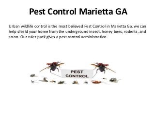 Pest Control Marietta GA
Urban wildlife control is the most believed Pest Control in Marietta Ga. we can
help shield your home from the underground insect, honey bees, rodents, and
so on. Our ruler pack gives a pest control administration.
 