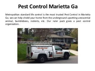 Pest Control Marietta Ga
Metropolitan standard life control is the most trusted Pest Control in Marietta
Ga. we can help shield your home from the underground upsetting unessential
animal, bumblebees, rodents, etc. Our ruler pack gives a pest control
organization.
 