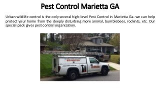 Pest Control Marietta GA
Urban wildlife control is the only several high-level Pest Control in Marietta Ga. we can help
protect your home from the deeply disturbing more animal, bumblebees, rodents, etc. Our
special pack gives pest control organization.
 