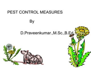 PEST CONTROL MEASURES
By
D.Praveenkumar.,M.Sc.,B.Ed.,
 
