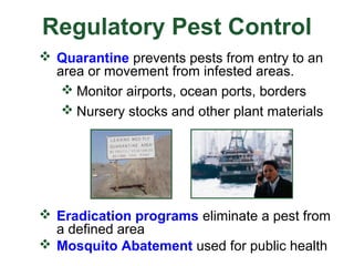 Pest control measures | PPT
