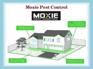 Moxie Pest Control
 