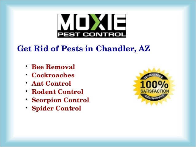 Pest Control Mesa AZ