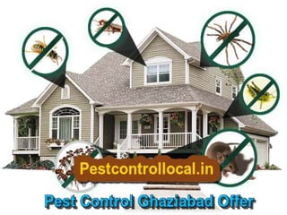 Pest control presentation