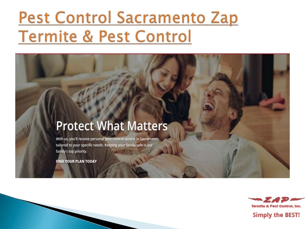 Pest Control Sacramento Zap Termite And Pest Control