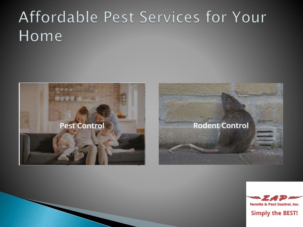 Pest Control Sacramento Zap Termite And Pest Control