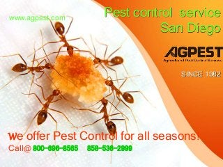 Pest control service
San Diego
SINCE 1982
We offer Pest Control for all seasons!
Call@ 800-696-8565 858-536-2999
www.agpest.com
 
