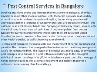 Pest control services in bangalore