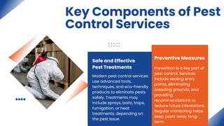 Pest Control Services: Protecting Your Home and Business from Harmful ...