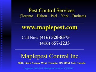 Maplepest Control Inc. www.maplepest.com 3001, Finch Avenue West, Toronto, ON M9M 3A9, Canada   Copyrights 2010-2011, Maplepest Control Inc. CANADA Pest Control Services Call Now   (416) 520-8575 (416) 657-2233 (Toronto – Halton – Peel – York – Durham) 