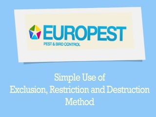 Pest Control Services UK