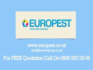 Pest Control Services UK