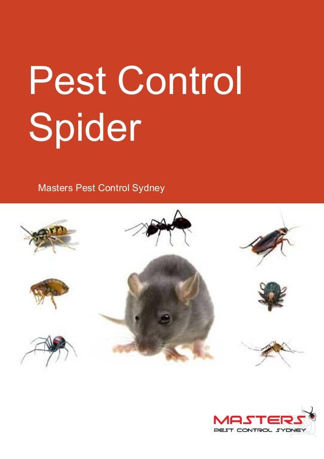 Pest control spider
