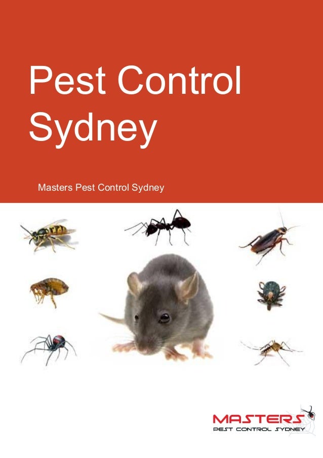 Pest control sydney