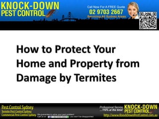 How to Protect Your
Home and Property from
Damage by Termites

                                                                    Professional Service
                                                                    …110% at the time!
   We guarantee to solve your pest problem!
   Call us on                         - you won’t be disappointed
 