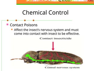 Comprehensive Guide to Pests, Diseases, and Their Control in ...