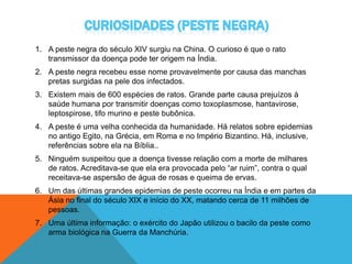 1. A peste negra do século XIV surgiu na China. O curioso é que o rato
transmissor da doença pode ter origem na Índia.
2. A peste negra recebeu esse nome provavelmente por causa das manchas
pretas surgidas na pele dos infectados.
3. Existem mais de 600 espécies de ratos. Grande parte causa prejuízos à
saúde humana por transmitir doenças como toxoplasmose, hantavirose,
leptospirose, tifo murino e peste bubônica.
4. A peste é uma velha conhecida da humanidade. Há relatos sobre epidemias
no antigo Egito, na Grécia, em Roma e no Império Bizantino. Há, inclusive,
referências sobre ela na Bíblia..
5. Ninguém suspeitou que a doença tivesse relação com a morte de milhares
de ratos. Acreditava-se que ela era provocada pelo “ar ruim”, contra o qual
receitava-se aspersão de água de rosas e queima de ervas.
6. Um das últimas grandes epidemias de peste ocorreu na Índia e em partes da
Ásia no final do século XIX e início do XX, matando cerca de 11 milhões de
pessoas.
7. Uma última informação: o exército do Japão utilizou o bacilo da peste como
arma biológica na Guerra da Manchúria.
 