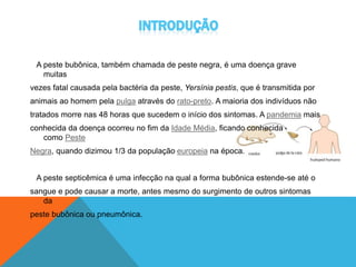 A peste bubônica, também chamada de peste negra, é uma doença grave
muitas
vezes fatal causada pela bactéria da peste, Yersínia pestis, que é transmitida por
animais ao homem pela pulga através do rato-preto. A maioria dos indivíduos não
tratados morre nas 48 horas que sucedem o início dos sintomas. A pandemia mais
conhecida da doença ocorreu no fim da Idade Média, ficando conhecida
como Peste
Negra, quando dizimou 1/3 da população europeia na época.
A peste septicêmica é uma infecção na qual a forma bubônica estende-se até o
sangue e pode causar a morte, antes mesmo do surgimento de outros sintomas
da
peste bubônica ou pneumônica.
 