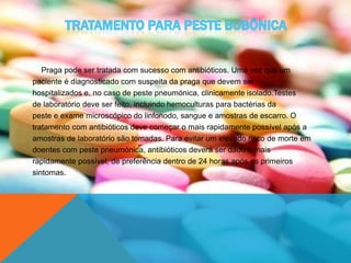 Praga pode ser tratada com sucesso com antibióticos. Uma vez que um
paciente é diagnosticado com suspeita da praga que devem ser
hospitalizados e, no caso de peste pneumónica, clinicamente isolado.Testes
de laboratório deve ser feito, incluindo hemoculturas para bactérias da
peste e exame microscópico do linfonodo, sangue e amostras de escarro. O
tratamento com antibióticos deve começar o mais rapidamente possível após a
amostras de laboratório são tomadas. Para evitar um elevado risco de morte em
doentes com peste pneumónica, antibióticos deverá ser dado o mais
rapidamente possível, de preferência dentro de 24 horas após os primeiros
sintomas.
 