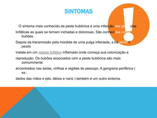 O sintoma mais conhecido da peste bubônica é uma infecção das glândulas
linfáticas as quais se tornam inchadas e dolorosas. São conhecidas como
bubões.
Depois da transmissão pela mordida de uma pulga infectada, a bactéria Y.
pestis se
instala em um nódulo linfático inflamado onde começa sua colonização e
reprodução. Os bubões associados com a peste bubônica são mais
comummente
encontrados nas axilas, virilhas e regiões do pescoço. A gangrena periférica (
ex.:
dedos das mãos e pés, lábios e nariz ) também é um outro sintoma.
 
