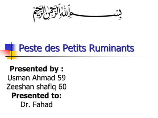Peste des Petits Ruminants
Presented by :
Usman Ahmad 59
Zeeshan shafiq 60
Presented to:
Dr. Fahad
 