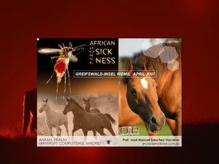 Peste equina africana