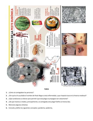 TAREA
1. ¿Cómo se contagiaban las personas?
2. ¿Por qué se ha acuñado el nombre de Peste Negra a esta enfermedad, y que impacto tuvo en la historia medieval?
3. ¿Qué condiciones se dieron para permitir que esta plaga se propagara tan velozmente?
4. ¿De qué manera o medios, principalmente, se contagiaba esta plaga? Define al menos Dos.
5. Menciona algunos síntomas
6. Consulta y define los siguientes conceptos: pandemia, epidemia,
 