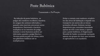 Peste Bubônica
Transmissão e Prevenção:
Na infecção da peste bubônica, as
pulgas dos roedores recolhem a bactéria
do sangue dos animais infectados, e
quando estes morrem, procuram novos
hospedeiros. Entretanto a bactéria
multiplica-se no intestino da pulga.
Animais e seres humanos podem ser
infectados, quando a pulga liberta a
Yersinia pestis na pele da vítima, entra
nas glândulas linfáticas até se
multiplicarem
Evitar o contato com roedores, erradicá-
los das áreas de habitação e impedir seu
transporte em navios são as únicas
proteções eficazes. Existem vacinas
disponíveis que concedem imunidade
apenas de três a seis meses, e apenas
para a peste bubônica. A Organização
Mundial de Saúde recomenda vacinação
apenas aos grupos de risco, que incluem
os agricultores e os caçadores.
 