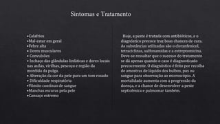 Sintomas e Tratamento
•Calafrios
•Mal-estar em geral
•Febre alta
• Dores musculares
• Convulsões
• Inchaço das glândulas linfáticas e dores locais
nas axilas, virilhas, pescoço e região da
mordida da pulga.
• Alteração da cor da pele para um tom rosado
• Dificuldade respiratória
•Vômito contínuo de sangue
•Manchas escuras pela pele
•Cansaço extremo
Hoje, a peste é tratada com antibióticos, e o
diagnóstico precoce traz boas chances de cura.
As substâncias utilizadas são o cloranfenicol,
tetraciclinas, sulfonamidas e a estreptomicina.
Deve-se ressaltar que o sucesso do tratamento
se dá apenas quando o caso é diagnosticado
precocemente. O diagnóstico é feito por recolha
de amostras de líquido dos bulbos, pus ou
sangue para observação ao microscópio. A
mortalidade aumenta com a progressão da
doença, e a chance de desenvolver a peste
septicêmica e pulmomar também.
 