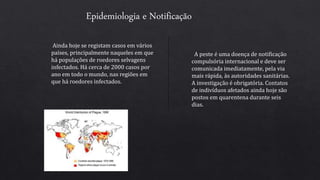 Epidemiologia e Notificação
Ainda hoje se registam casos em vários
países, principalmente naqueles em que
há populações de roedores selvagens
infectados. Há cerca de 2000 casos por
ano em todo o mundo, nas regiões em
que há roedores infectados.
A peste é uma doença de notificação
compulsória internacional e deve ser
comunicada imediatamente, pela via
mais rápida, às autoridades sanitárias.
A investigação é obrigatória. Contatos
de indivíduos afetados ainda hoje são
postos em quarentena durante seis
dias.
 