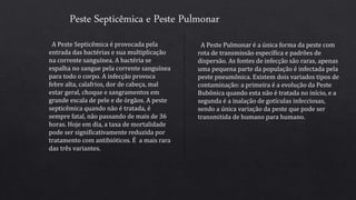 Peste Septicêmica e Peste Pulmonar
A Peste Septicêmica é provocada pela
entrada das bactérias e sua multiplicação
na corrente sanguínea. A bactéria se
espalha no sangue pela corrente sanguínea
para todo o corpo. A infecção provoca
febre alta, calafrios, dor de cabeça, mal
estar geral, choque e sangramentos em
grande escala de pele e de órgãos. A peste
septicêmica quando não é tratada, é
sempre fatal, não passando de mais de 36
horas. Hoje em dia, a taxa de mortalidade
pode ser significativamente reduzida por
tratamento com antibióticos. É a mais rara
das três variantes.
A Peste Pulmonar é a única forma da peste com
rota de transmissão específica e padrões de
dispersão. As fontes de infecção são raras, apenas
uma pequena parte da população é infectada pela
peste pneumônica. Existem dois variados tipos de
contaminação: a primeira é a evolução da Peste
Bubônica quando esta não é tratada no início, e a
segunda é a inalação de gotículas infecciosas,
sendo a única variação da peste que pode ser
transmitida de humano para humano.
 