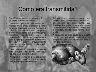 Como era transmitida?
• Em 1330 surgiram os primeiros focos
da peste bubônica na china
• O comércio por meio de navios foi o
método mais eficaz de trazer o vetor
da peste bubônica para a Europa ( a
pulga do RattusRattus, rato que graças
a viver mais perto das pessoas gerou
melhores condições para a
transmissão). Os Ratos infectados e
suas pulgas que causaram a pandemia
de 1347 eram provavelmente
oriundos ou da China ou da região
central da Asia .
• O rato preto foi bastante importante
para difusão da peste por seus
hábitos mais domesticados.
• A maneira como as pessoas viviam
nos burgos também foi importante
para a propagação da doença.
• As principais maneiras para uma
pessoa ser contaminada eram: Ou
diretamente por uma pulga, que
libertava bactérias na pele da vitima,
ou então pela inalação de saliva (tosse
e espirros, sendo essa forma mais
letal).
• A mudança do rato preto para o rato
cinza como principal hospedeiro das
pulgas foi um fator marcante para o
fim das epidemias .
 