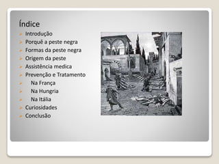Índice
 Introdução
 Porquê a peste negra
 Formas da peste negra
 Origem da peste
 Assistência medica
 Prevenção e Tratamento
 Na França
 Na Hungria
 Na Itália
 Curiosidades
 Conclusão
 
