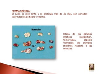 Conjuntivitis catarralDescarga nasal