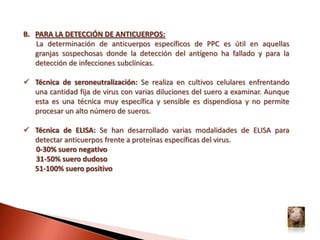 FORMA CRÓNICA:El curso es muy lento y se prolonga más de 30 días, con períodos intermitentes de fiebre y viremia. Estado de los ganglios linfáticos (congestión, hemorragias, aspecto marmóreo) de animales enfermos respecto a los normales