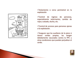 Infartos marginales en el bazoHemorragias petequiales en vesícula biliar