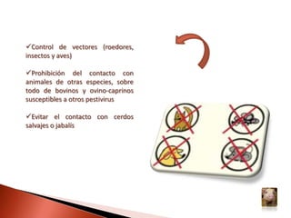 Neonatales: nacidos muertos, nacidos débiles o con temblores (mioclonias) 