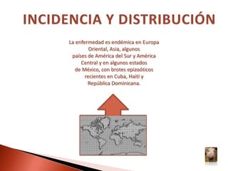 INCIDENCIA Y DISTRIBUCIÓNLa enfermedad es endémica en Europa Oriental, Asia, algunospaíses de América del Sur y América Central y en algunos estadosde México, con brotes epizoóticos recientes en Cuba, Haití yRepública Dominicana.