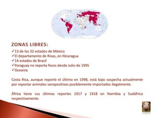 ZONAS LIBRES:13 de los 32 estados de México