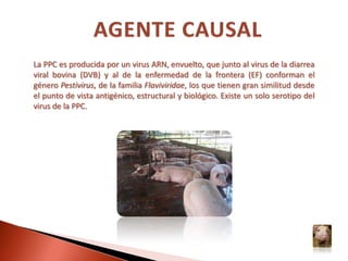 El departamento de Rivas, en Nicaragua