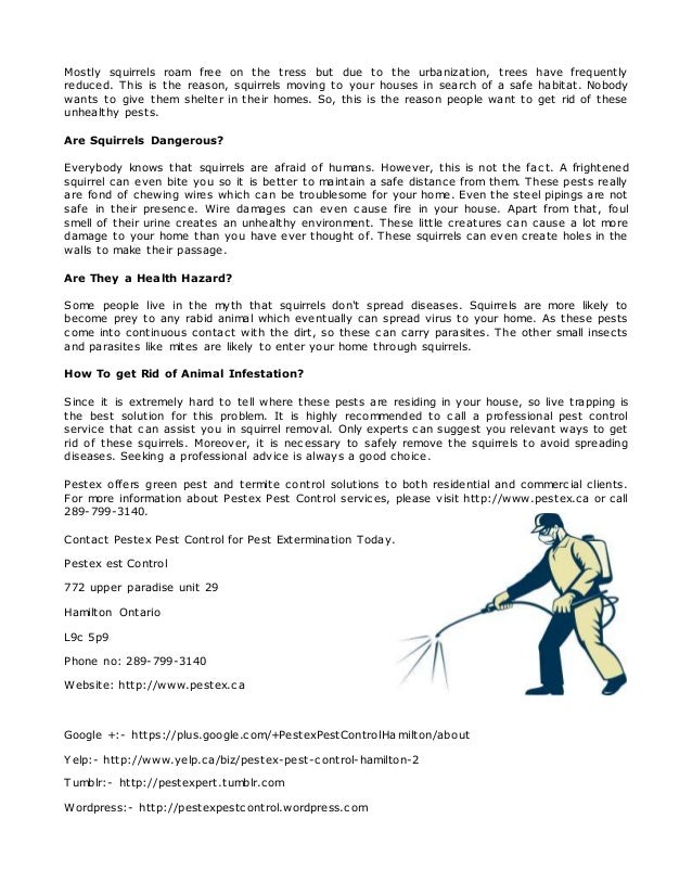 Pest Control Hamilton Provide Top Pest Control Solutions at Affordable