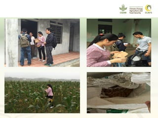 Pestforecast: Surveillance and early warning systems for climate sensitive diseases in Vietnam